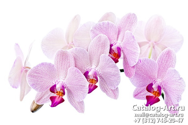 Натяжные потолки с фотопечатью - Розовые орхидеи 64